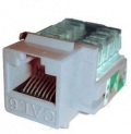 BattleBorn Cat6 Keystone Jack - 110 Punch Type