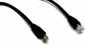 BattleBorn 1 Foot Cat6 Rj45 Ethernet Network Cable (Black)