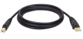 Tripp Lite 10 Foot Male USB Type-A to Male USB Type-B Data Cable