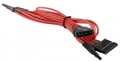 BattleBorn Braided 4-pin Molex to 4x SATA Power Adapter - Red
