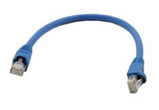 BattleBorn 1 foot Cat5E Blue 350MHz RJ45 Male - RJ45 Male Cable