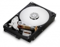 Western / Digital Hitachi Deskstar 1TB 3.5" 7200RPM Internal Hard Drive