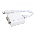 GWC AY2100 Mini DisplayPort to DVI Video Adapter (White)