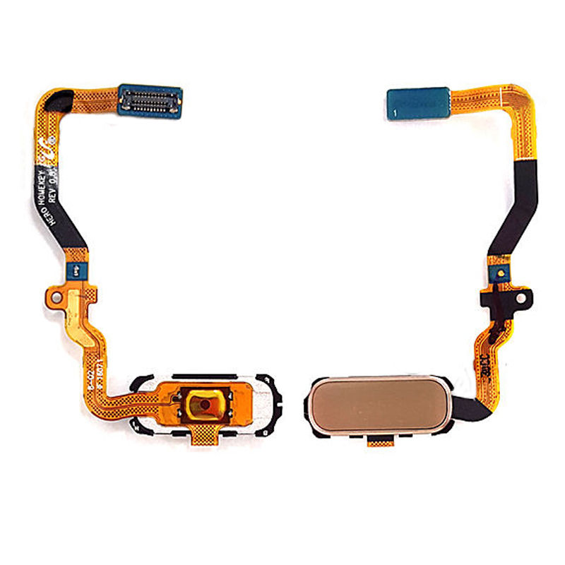 Samsung Galaxy S7 Edge Home Button Sticker Home Button + Flex Assembly Samsung Galaxy S7 Edge - Gold : www